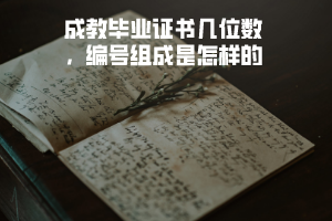 武漢理工大學(xué)成教畢業(yè)證書幾位數(shù)，編號(hào)組成是怎樣的