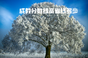 長江大學成教分數(shù)線高省線多少