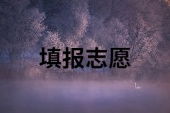 湖南成考怎樣填報志愿？報考信息填錯怎么辦？