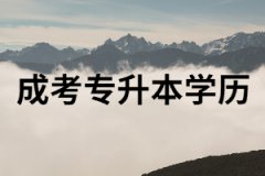 湖南成考本科學歷對未來就業(yè)真的有用嗎？