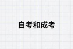 湖南成考和自考哪個學歷對于找工作更有好處？