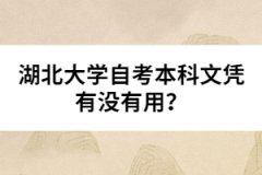 湖北大學(xué)自考本科文憑有沒有用？