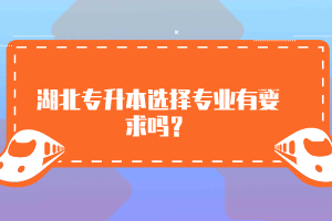 湖北專升本選擇專業(yè)有要求嗎？