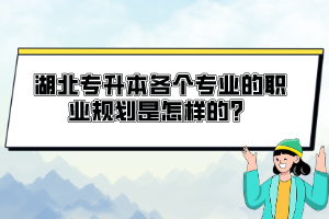 湖北專升本各個(gè)專業(yè)的職業(yè)規(guī)劃是怎樣的？