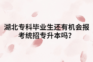 湖北?？飘厴I(yè)生還有機(jī)會報(bào)考統(tǒng)招專升本嗎？