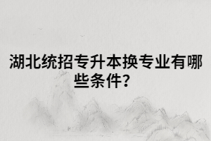 湖北統(tǒng)招專升本換專業(yè)有哪些條件？