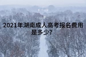 2021年湖南成人高考報(bào)名費(fèi)用是多少？