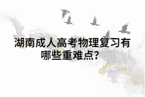 湖南成人高考物理復習有哪些重難點？