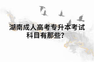 湖南成人高考專升本考試科目有那些？