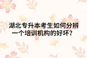 湖北普通專(zhuān)升本考生如何分辨一個(gè)培訓(xùn)機(jī)構(gòu)的好壞呢？