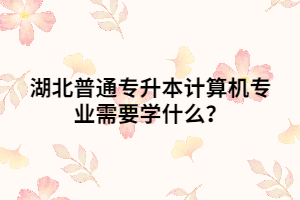 湖北普通專升本計(jì)算機(jī)專業(yè)需要學(xué)什么？