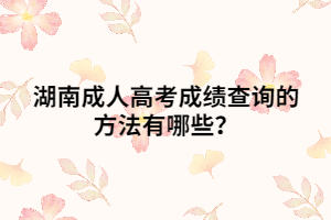 湖南成人高考成績查詢的方法有哪些？