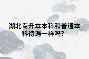 湖北專(zhuān)升本本科和普通本科待遇一樣嗎？