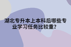 湖北專升本上本科后哪些專業(yè)學習任務比較重？