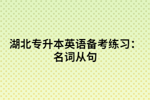 湖北專升本英語備考練習(xí):名詞從句
