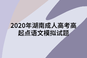 2020年湖南成人高考高起點語文模擬試題六