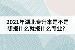 2021年湖北專升本是不是想報(bào)什么就報(bào)什么專業(yè)？