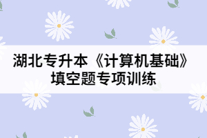 湖北專升本《計算機基礎》填空題專項訓練(一)