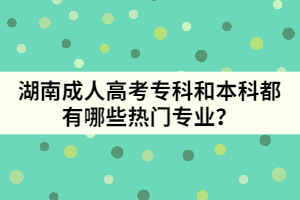 湖南成人高考?？坪捅究贫加心男衢T專業(yè)？