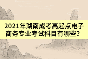 2021年湖南成人高考高起點(diǎn)電子商務(wù)專業(yè)考試科目有哪些？