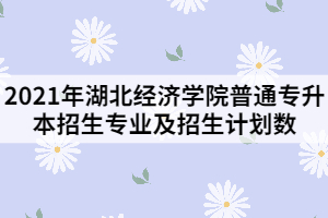2021年湖北經(jīng)濟學院普通專升本招生專業(yè)及招生計劃數(shù)