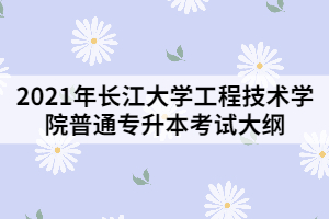 2021年長江大學工程技術(shù)學院專升本《工程經(jīng)濟學》考試大綱