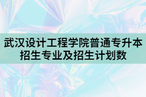 2021年武漢設(shè)計工程學(xué)院普通專升本招生專業(yè)及招生計劃數(shù)