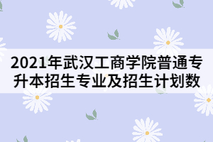 2021年武漢工商學(xué)院普通專升本招生專業(yè)及招生計(jì)劃數(shù)
