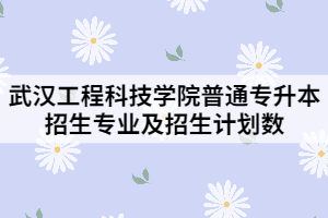 2021年武漢工程科技學(xué)院普通專升本招生專業(yè)及招生計(jì)劃數(shù)