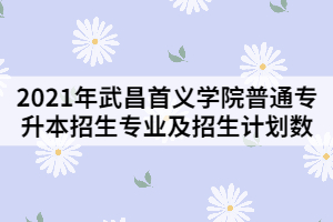 2021年武昌首義學(xué)院普通專升本招生專業(yè)及招生計劃數(shù)