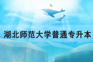 2021年湖北師范大學(xué)普通專升本招生簡章招生計劃
