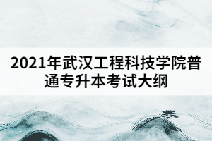 2021年武漢工程科技學(xué)院普通專(zhuān)升本《國(guó)際貿(mào)易實(shí)務(wù)》考試大綱