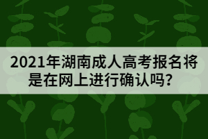 2021年湖南成人高考報名將是在網上進行確認嗎？