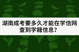 湖南成考要多久才能在學(xué)信網(wǎng)查到學(xué)籍信息？
