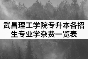 2021年武昌理工學(xué)院專升本各招生專業(yè)學(xué)雜費(fèi)一覽表
