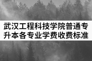 2021年武漢工程科技學院普通專升本各專業(yè)學費收費標準