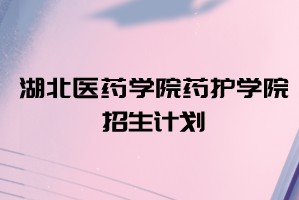 2021年湖北醫(yī)藥學院藥護學院普通專升本招生計劃