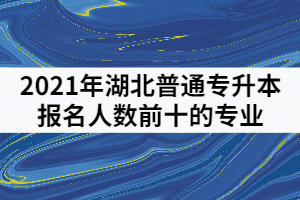 2021年湖北普通專升本報(bào)名人數(shù)前十的專業(yè)有那些？