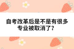 自考改革后是不是有很多專業(yè)被取消了？