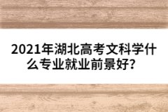 2021年湖北高考文科學(xué)什么專業(yè)就業(yè)前景好？