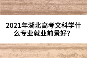 2021年湖北高考文科學(xué)什么專業(yè)就業(yè)前景好？