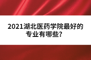 2021湖北醫(yī)藥學院最好的專業(yè)有哪些？