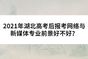 2021年湖北高考后報考網(wǎng)絡(luò)與新媒體專業(yè)前景好不好？