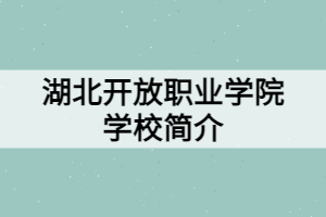 湖北開放職業(yè)學(xué)院學(xué)校簡介