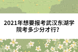 2021年想要報考武漢東湖學(xué)院考多少分才行？