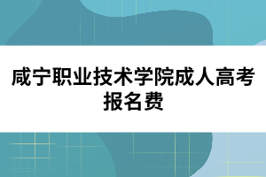 咸寧職業(yè)技術(shù)學(xué)院成人高考報名費(fèi)