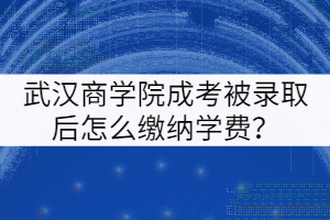 武漢商學(xué)院成考被錄取后怎么繳納學(xué)費？