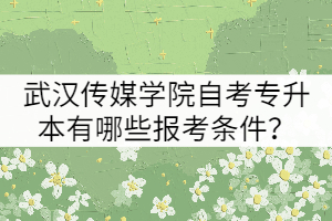 武漢傳媒學院自考專升本有哪些報考條件？