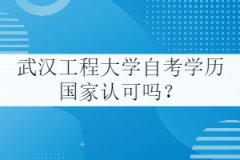 武漢工程大學自考學歷國家認可嗎？