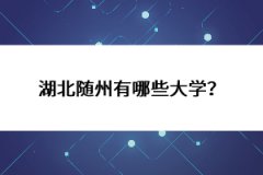 湖北隨州有哪些大學(xué)？